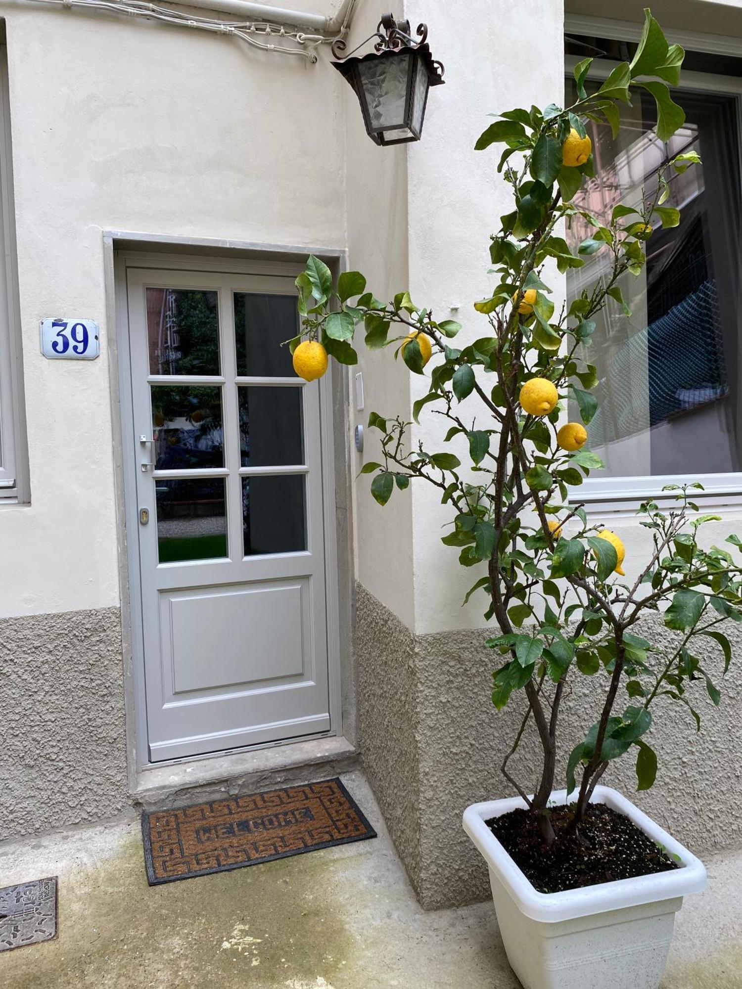 Pilati39p1 * Firenze